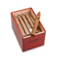 Charuto Flor de Oliva Maduro Torpedo