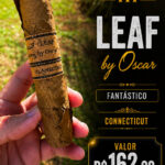 Leaf by Oscar – Connecticut