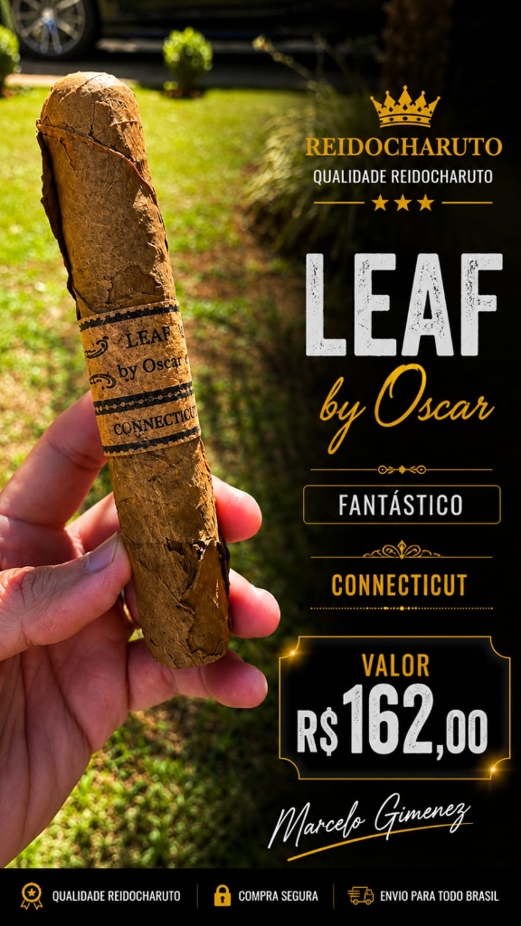 Leaf by Oscar – Connecticut Leaf by Oscar – Connecticut