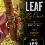 Leaf by Oscar – Maduro