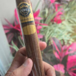 Charuto Punch Golden Era Semente de 1961