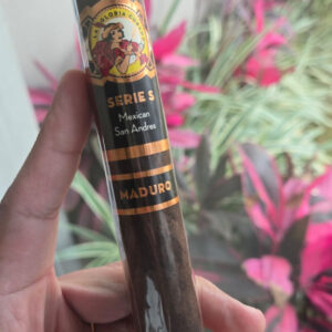 Charuto La Gloria Cubana Serie S San Andrés Robusto Gordo