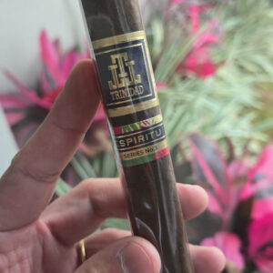 Trinidad Espíritu Nº 3 Toro