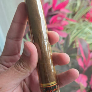 Cain Habano 550 - Rei do Charuto