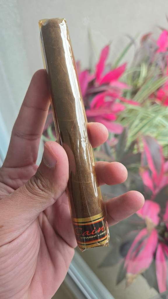 Cain Habano 550 Cain Habano 550 - Rei do Charuto
