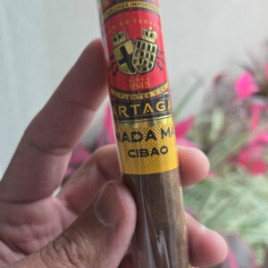 Partagás Y Nada Más Cibao - Rei do Charuto