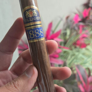 Comprar Charutos Online Villinger Toro - Rei do Charuto