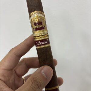 Perez y Carrillo Ascend